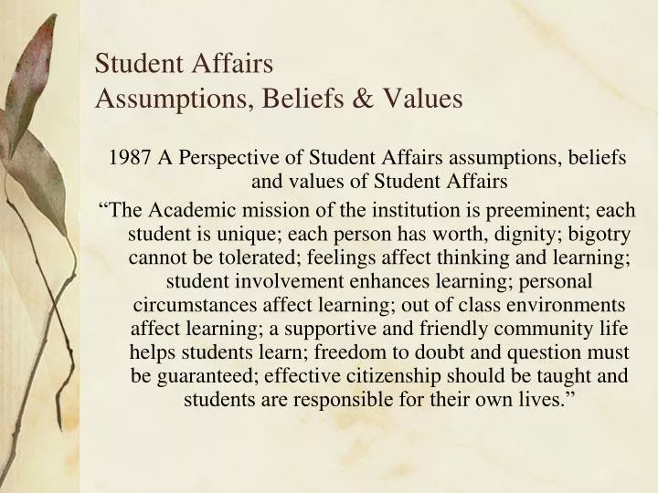 student affairs assumptions beliefs values