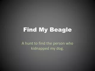 Find My Beagle