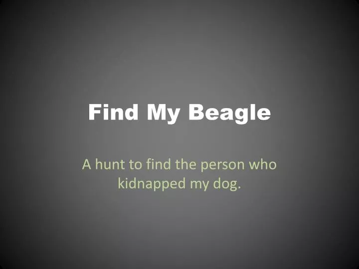 find my beagle