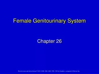 Female Genitourinary System