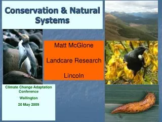 Conservation &amp; Natural Systems