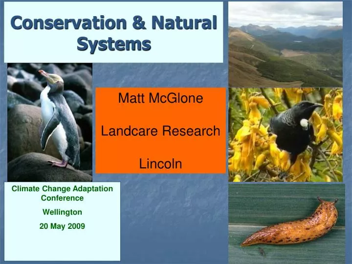 conservation natural systems