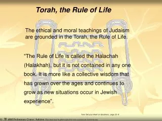 Torah, the Rule of Life