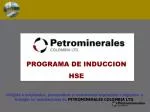 PROGRAMA DE INDUCCION HSE - slide 1