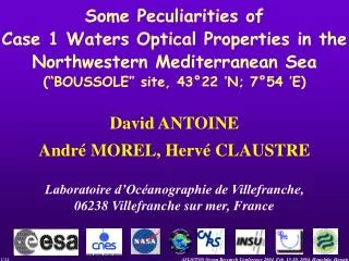Some Peculiarities of Case 1 Waters Optical Properties in the Northwestern Mediterranean Sea