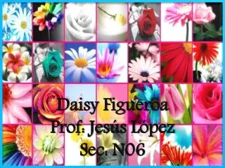 Daisy Figueroa Prof: Jesús López Sec: N06