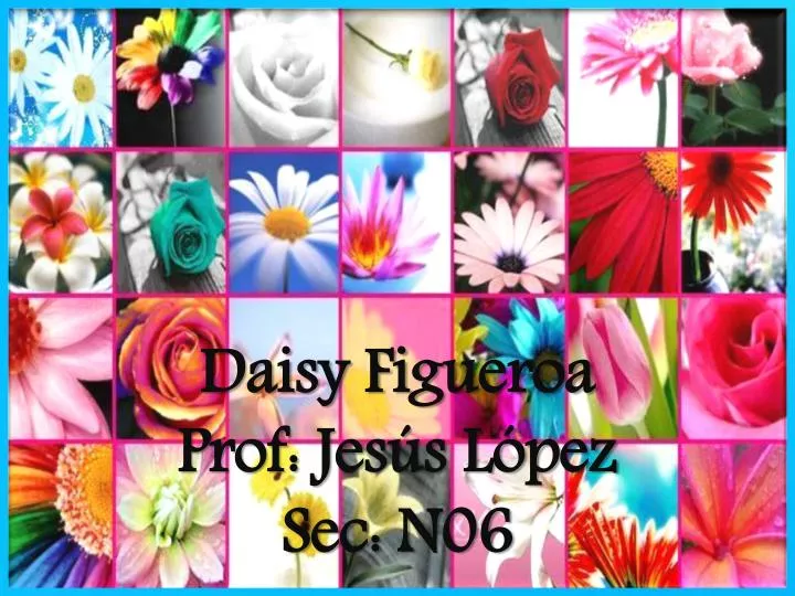 daisy figueroa prof jes s l pez sec n06