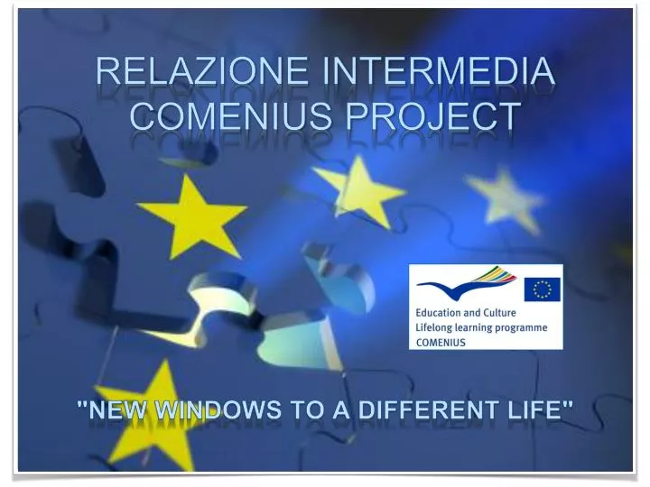 relazione intermedia comenius project