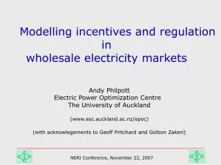 Modelling incentives and regulation in wholesale electricity markets