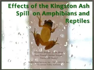 Effects of the Kingston Ash Spill on Amphibians and Reptiles