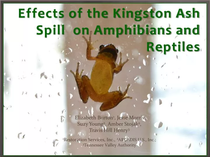 effects of the kingston ash spill on amphibians and reptiles
