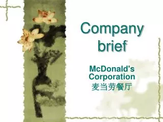 Company brief