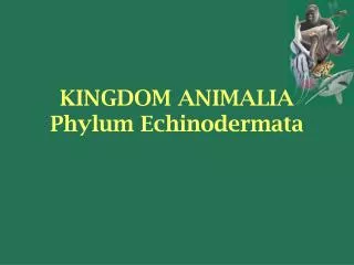 KINGDOM ANIMALIA Phylum Echinodermata