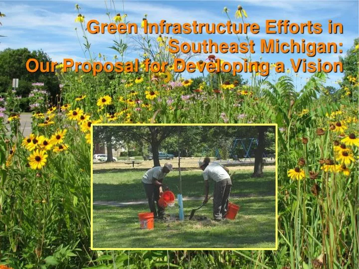 green infrastructure efforts in southeast michigan our proposal for developing a vision