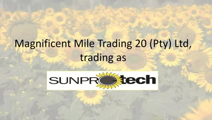 magnificent mile trading 20 pty ltd trading as