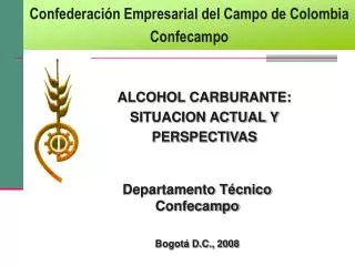 ALCOHOL CARBURANTE: SITUACION ACTUAL Y PERSPECTIVAS