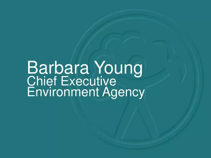 barbara young chief executive environment agency