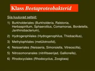 Klass Beetaproteobakterid