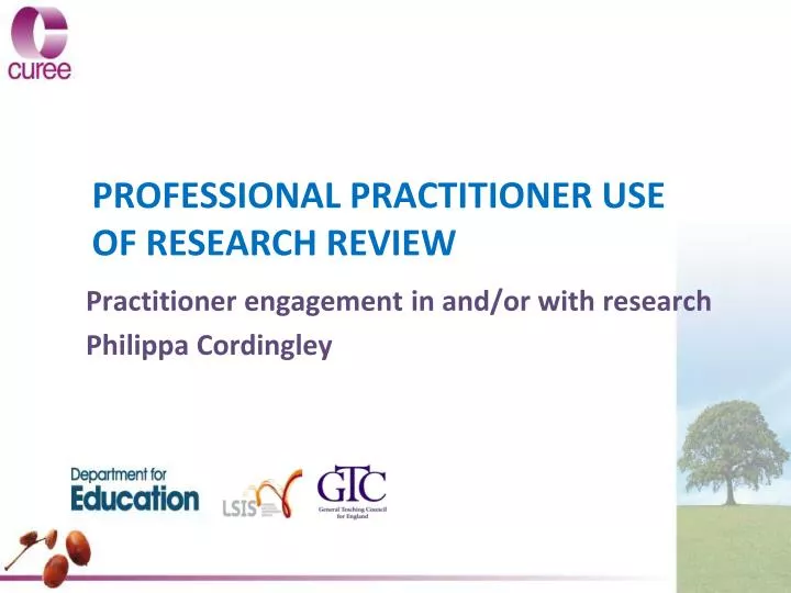 professional practitioner use of research review