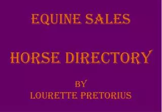 EQUINE SALES HORSE DIRECTORY BY LOURETTE PRETORIUS