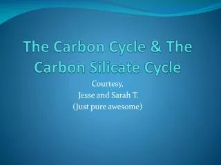 The Carbon Cycle &amp; The Carbon Silicate Cycle