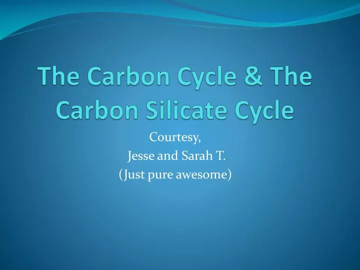 the carbon cycle the carbon silicate cycle