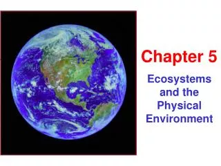 Ecosystems and the Physical Environment