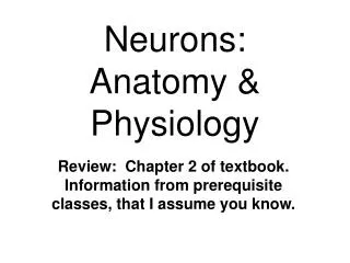 Neurons: Anatomy &amp; Physiology