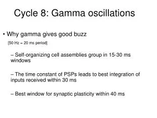 Cycle 8: Gamma oscillations