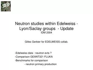 Neutron studies within Edelweiss - Lyon/Saclay groups - Update IDM 2004