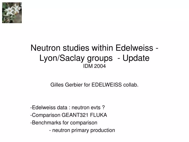 neutron studies within edelweiss lyon saclay groups update idm 2004