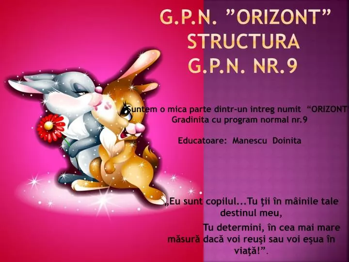 g p n orizont structura g p n nr 9