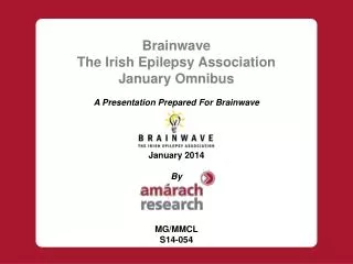Brainwave The Irish Epilepsy Association January Omnibus A Presentation Prepared For Brainwave