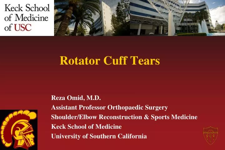 rotator cuff tears