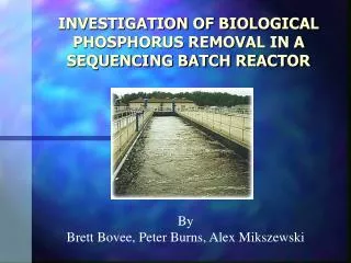 INVESTIGATION OF BIOLOGICAL PHOSPHORUS REMOVAL IN A SEQUENCING BATCH REACTOR