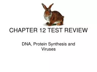 CHAPTER 12 TEST REVIEW