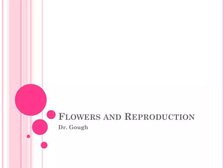 flowers and reproduction