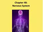 Chapter 48: Nervous System - slide 1