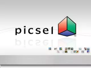 Picsel 公司简介