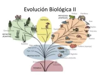 Evolución Biológica II