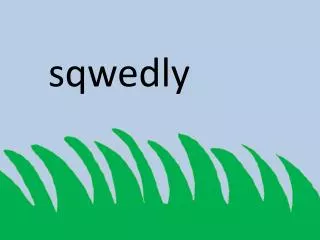sqwedly