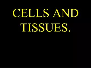 CELLS AND TISSUES.