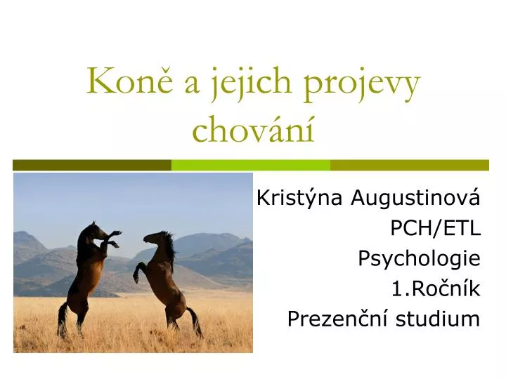 kon a jejich projevy chov n