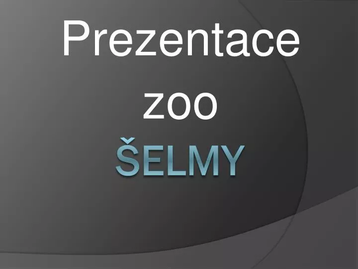 prezentace zoo