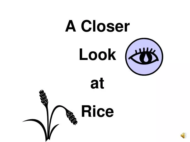 a closer look at rice