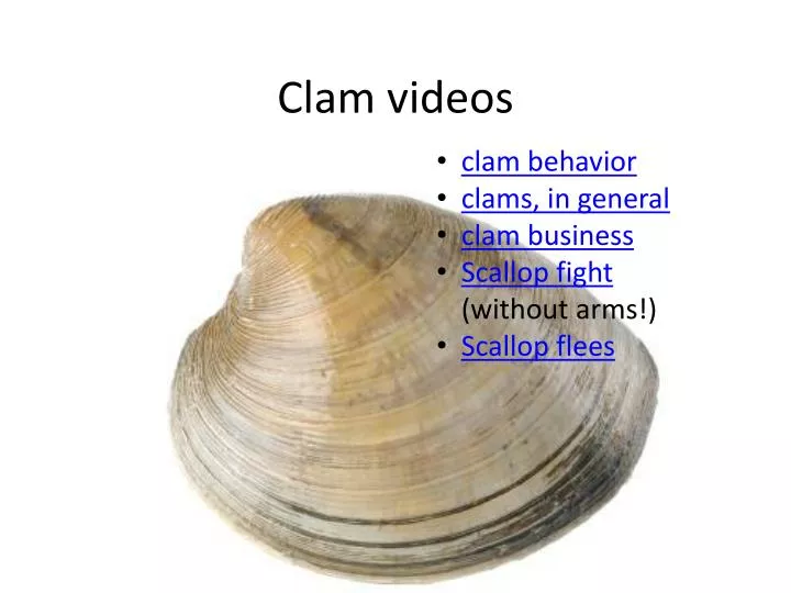 clam videos