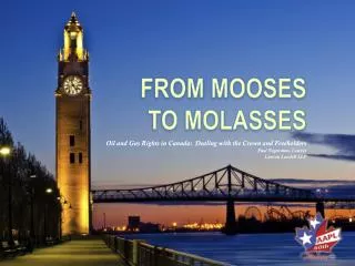 FROM MOOSEs TO MOLASSES
