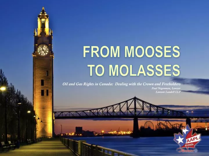 from mooses to molasses