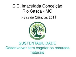 E.E. Imaculada Conceição Rio Casca - MG