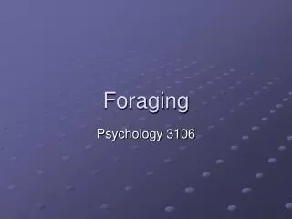 Foraging